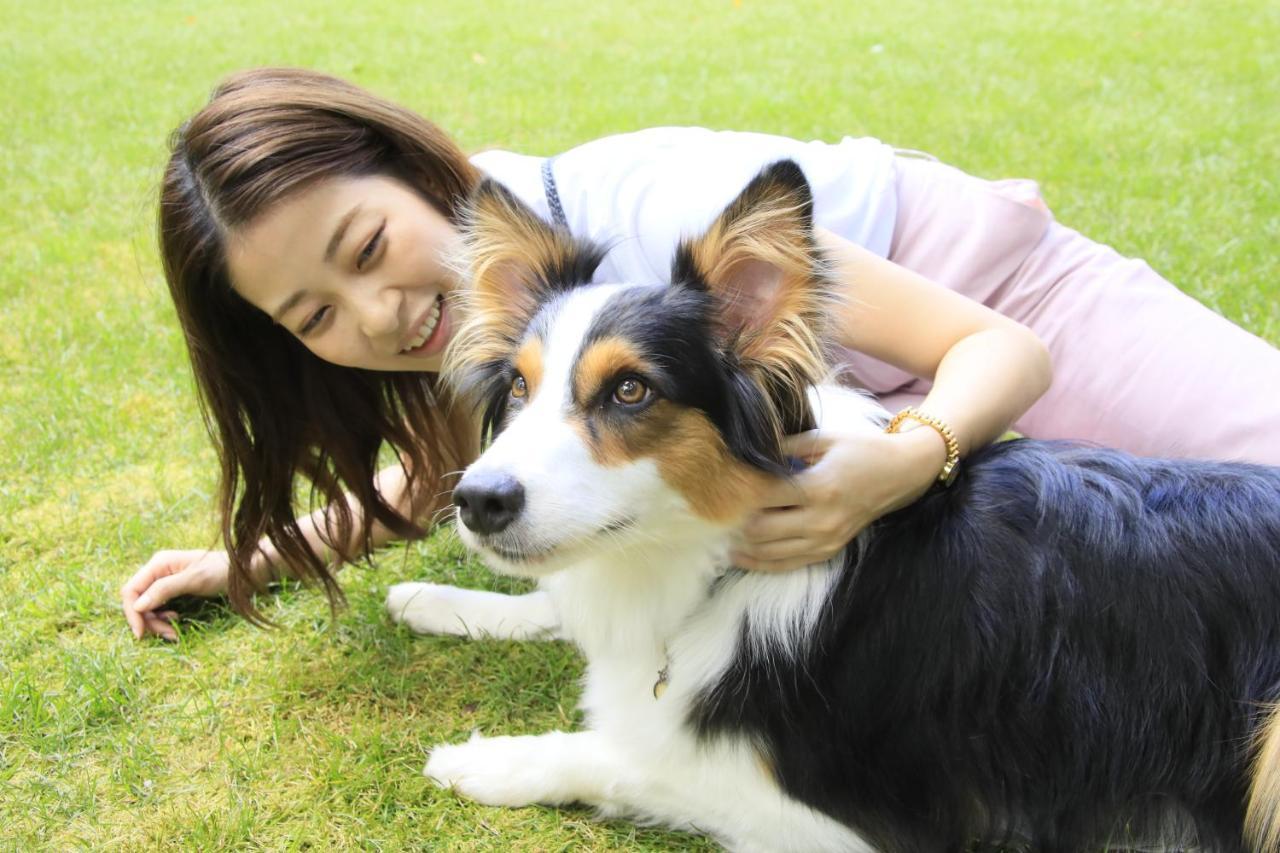 Yutorelo Tateshina Hotel With Dogs 치노시 외부 사진